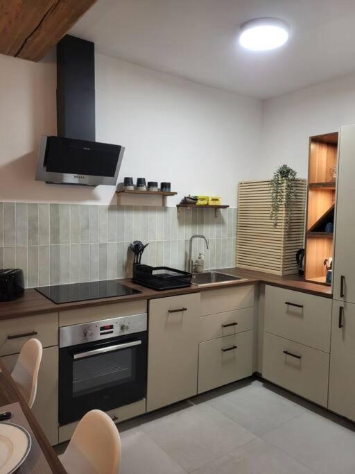 O Bon'Endroit - Appartement Confort - Centre Ville Vienne (Isere) Exterior foto